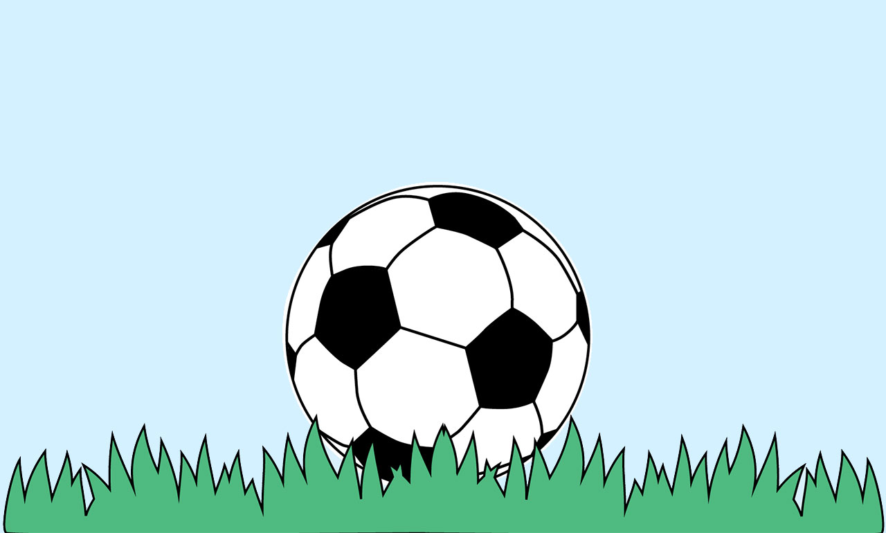 Ein Fußball, der auf einer Wiese liegt.