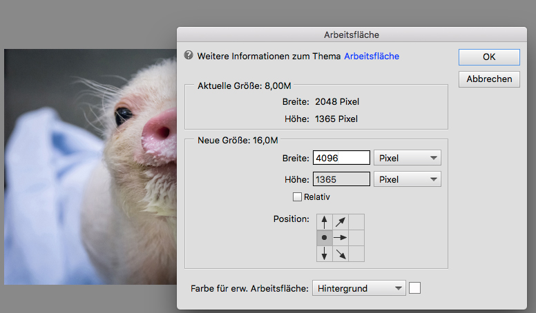 Photoshop Arbeitsflaechen