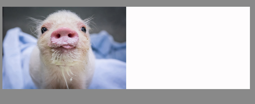 Photoshop Arbeitsflaechen