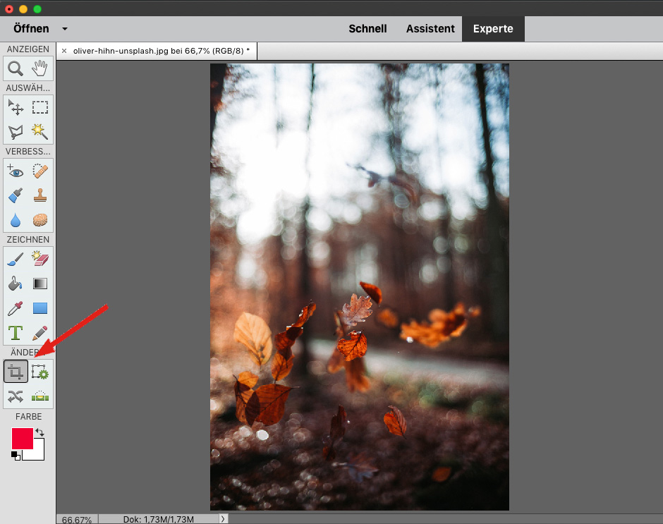 5 Photoshop-Tipps: Hier Bilder beschneiden oder auch freistellen